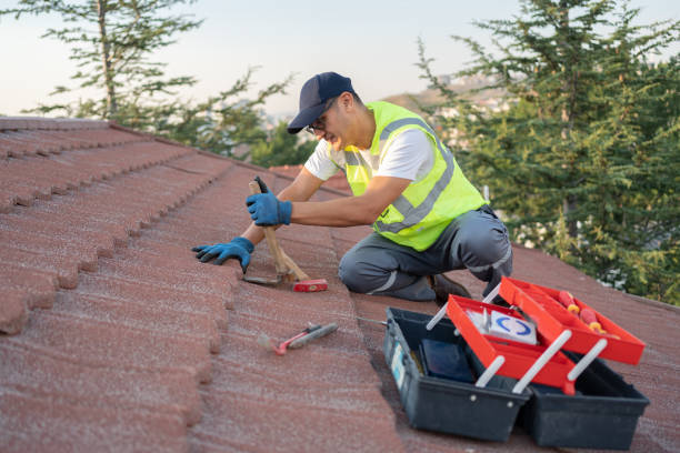 Best Roof Gutter Cleaning  in Big River, CA